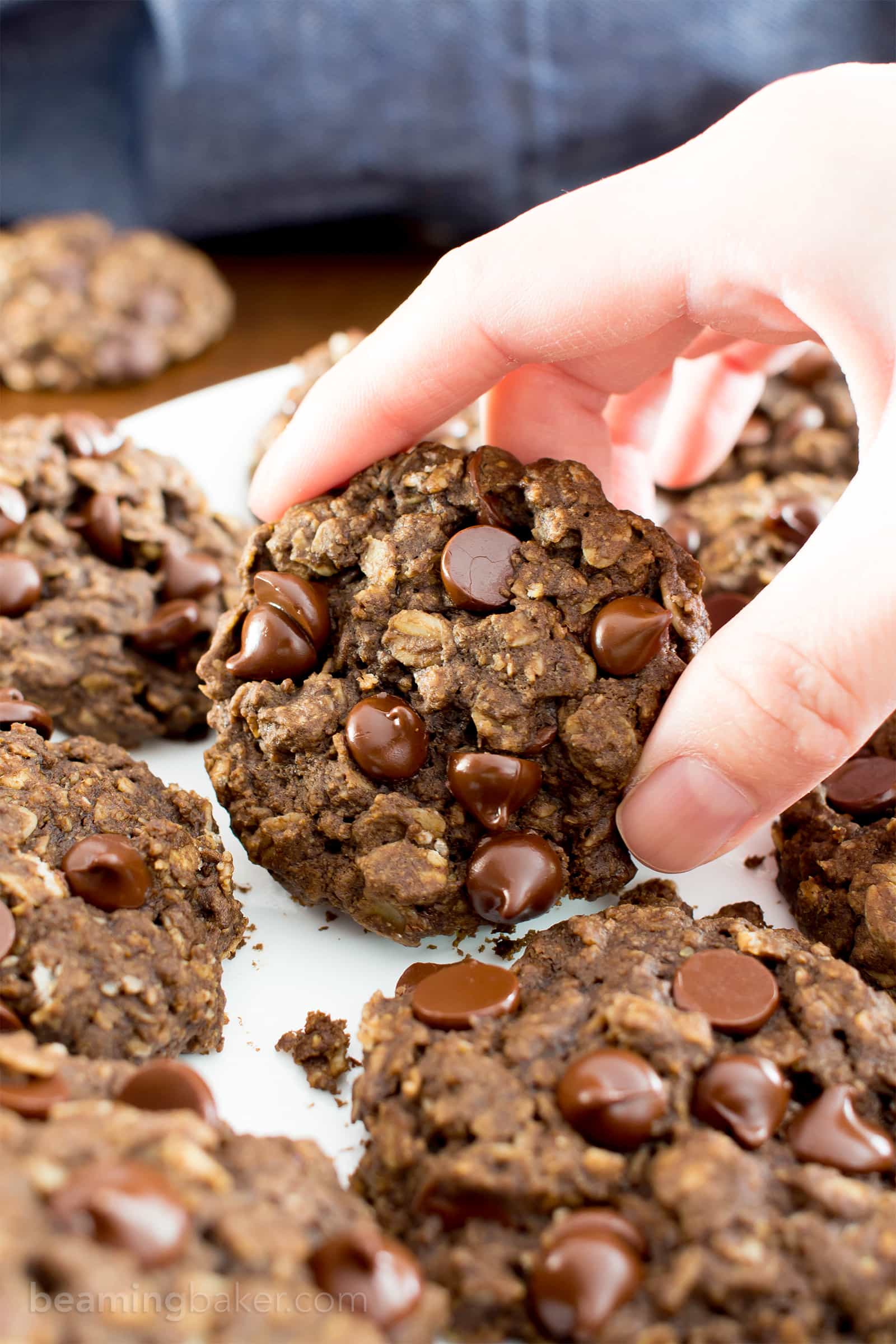 Gluten Free Double Chocolate Chip Oatmeal Cookies (V, GF, Dairy-Free ...