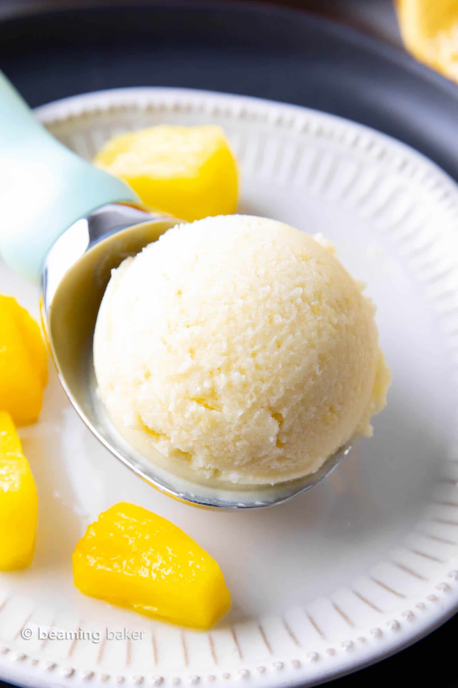 Pineapple Coconut Sorbet: just 2 ingredients and 5 minutes to make delicious coconut pineapple sorbet. Healthy, Dairy-Free, Paleo, Vegan. #Coconut #Pineapple #Sorbet #Vegan | Recipe at BeamingBaker.com