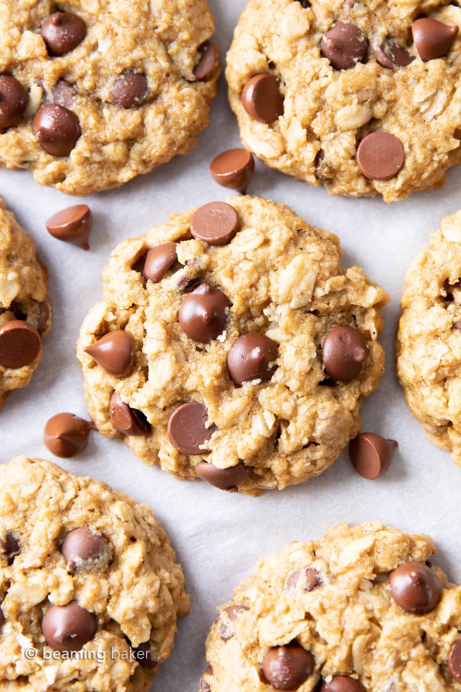 Top down picture of vegan gluten free oatmeal chocolate chip cookies with loose chocolate chips strewn in between