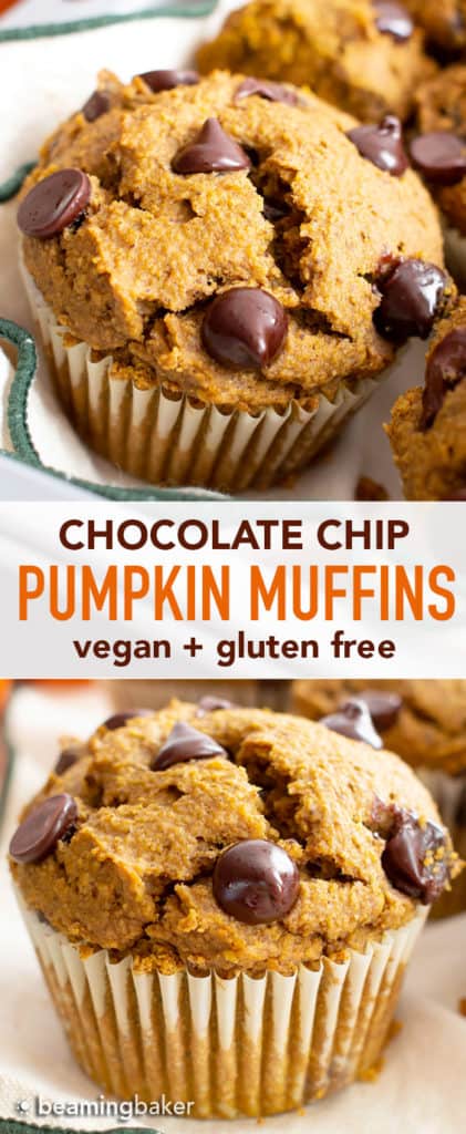 Gluten Free Pumpkin Chocolate Chip Muffins Recipe (GF, Vegan, Dairy ...