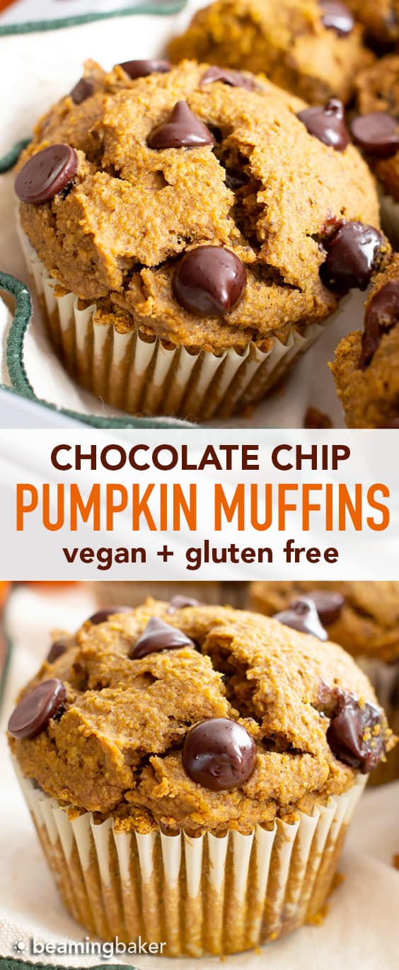 Gluten Free Pumpkin Chocolate Chip Muffins Recipe (GF): this easy gluten free pumpkin muffins recipe makes perfectly spiced GF pumpkin muffins! Made in 1-bowl with healthy, whole ingredients. #Pumpkin #Muffins #Chocolate #GlutenFree #Vegan | Recipe at BeamingBaker.com