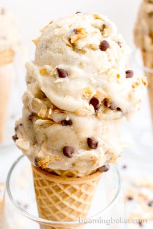 Toasted Coconut Chocolate Chip Nice Cream (Vegan, Dairy Free, Gluten ...