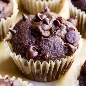 One Bowl Double Chocolate Banana Muffins (V+GF): a one bowl recipe for moist, rich chocolate banana muffins dotted with chocolate chips. #Vegan #OneBowl #GlutenFree #DairyFree | BeamingBaker.com