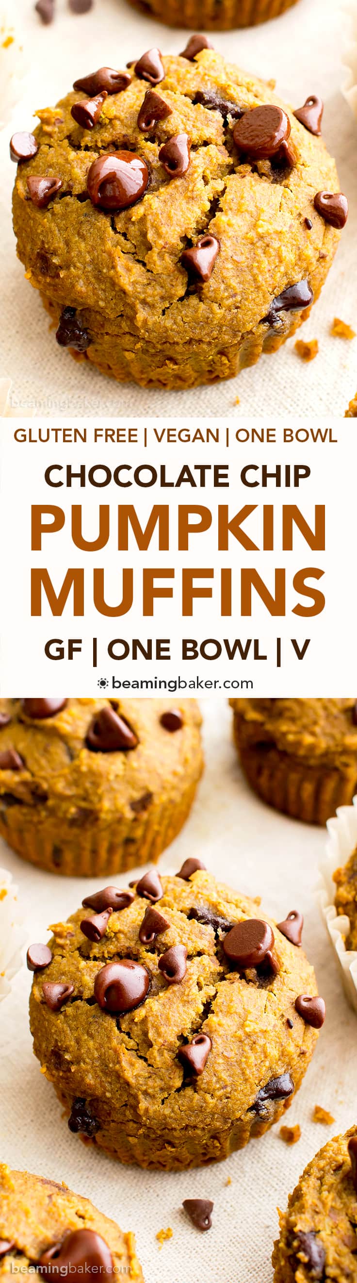One Bowl Gluten Free Pumpkin Chocolate Chip Muffins (V, GF, DF): a one bowl recipe for perfectly moist pumpkin chocolate chip muffins made with whole ingredients. #Vegan #GlutenFree #DairyFree | BeamingBaker.com
