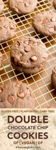 Vegan Double Chocolate Chip Cookies (Vegan, Gluten Free, Dairy Free ...