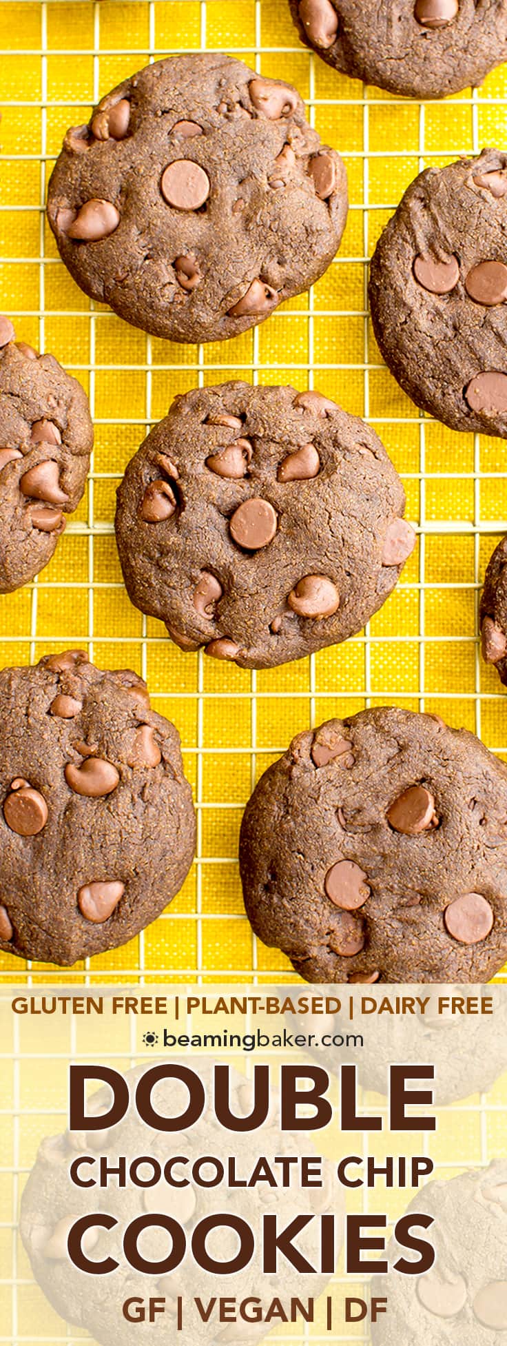 Vegan Double Chocolate Chip Cookies (Vegan, Gluten Free, Dairy Free ...