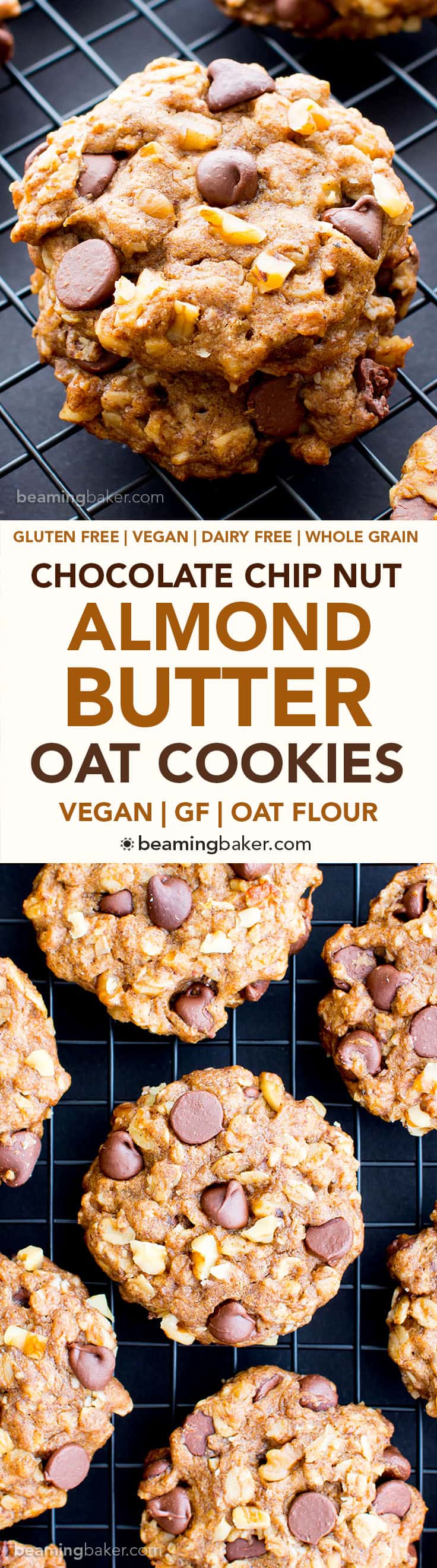 Vegan Almond Butter Chocolate Chip Walnut Oat Cookies (V, GF, DF): an easy recipe for chewy, crispy almond butter cookies deliciously made with whole ingredients. #Vegan #GlutenFree #OatFlour #DairyFree | BeamingBaker.com