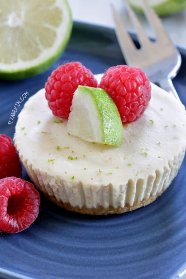 15 No Bake Paleo Vegan Desserts (Gluten-Free, Dairy-Free, Vegan, Paleo) - Beaming Baker