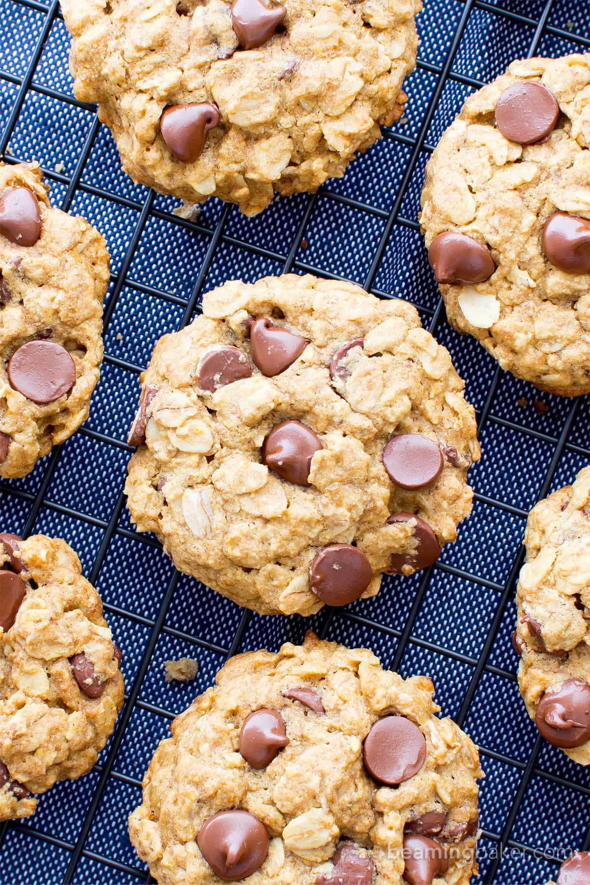 Gluten Free Vegan Oatmeal Chocolate Chip Cookies (GF): a simple vegan oatmeal chocolate chip cookies recipe that yields soft & buttery oatmeal cookies packed with melty chocolate chips! Dairy-Free, Refined Sugar-Free. #OatmealCookies #GlutenFree #Vegan #ChocolateChip | Recipe at BeamingBaker.com