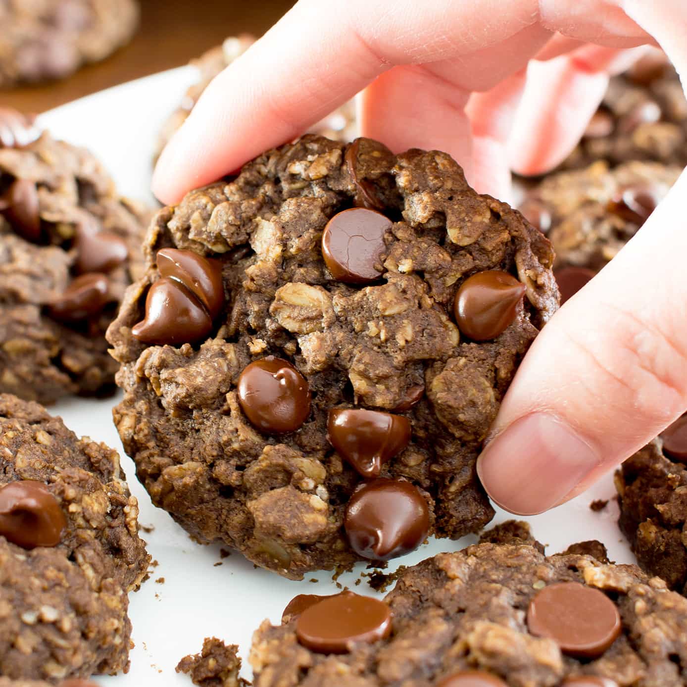 Gluten Free Double Chocolate Chip Oatmeal Cookies (V, GF, Dairy-Free)