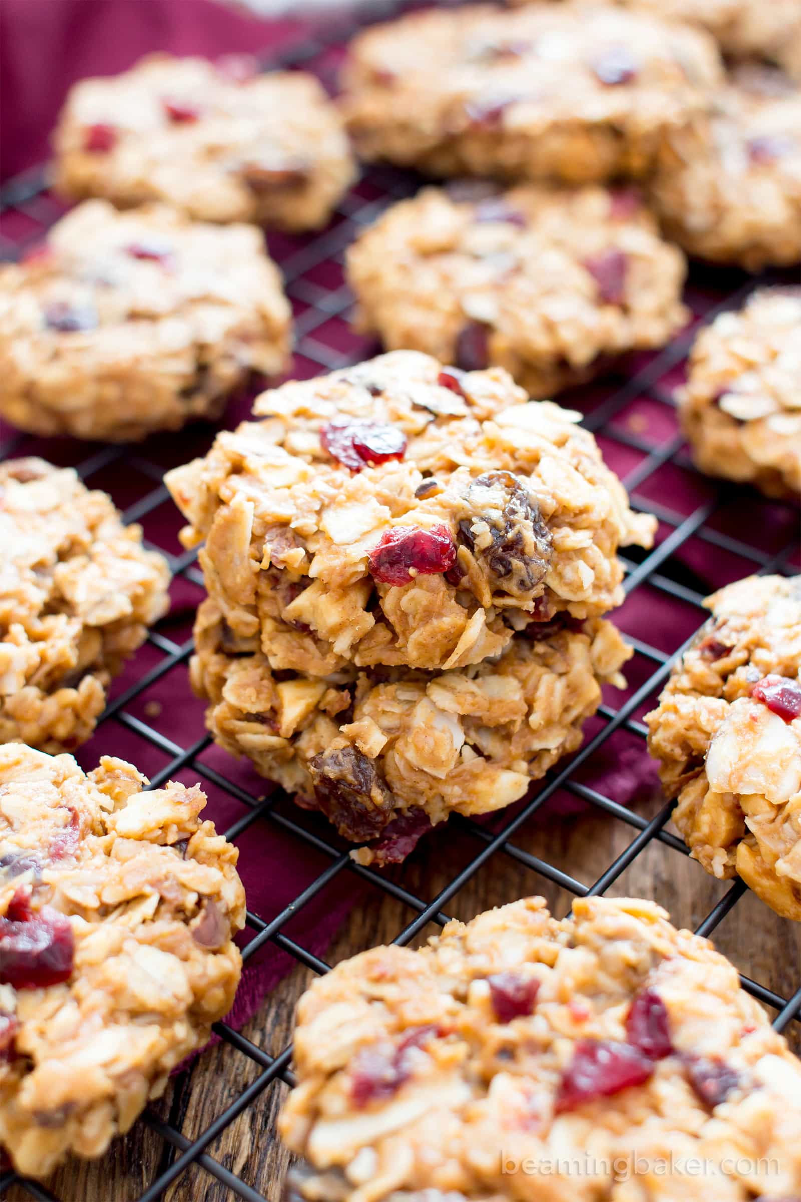 No Bake Gluten Free Peanut Butter Fruit & Nut Cookies (V, GF, DF): an easy, one bowl recipe for no bake peanut butter cookies bursting with dried fruits and nuts! #ProteinPacked #Vegan #GlutenFree #DairyFree BeamingBaker.com