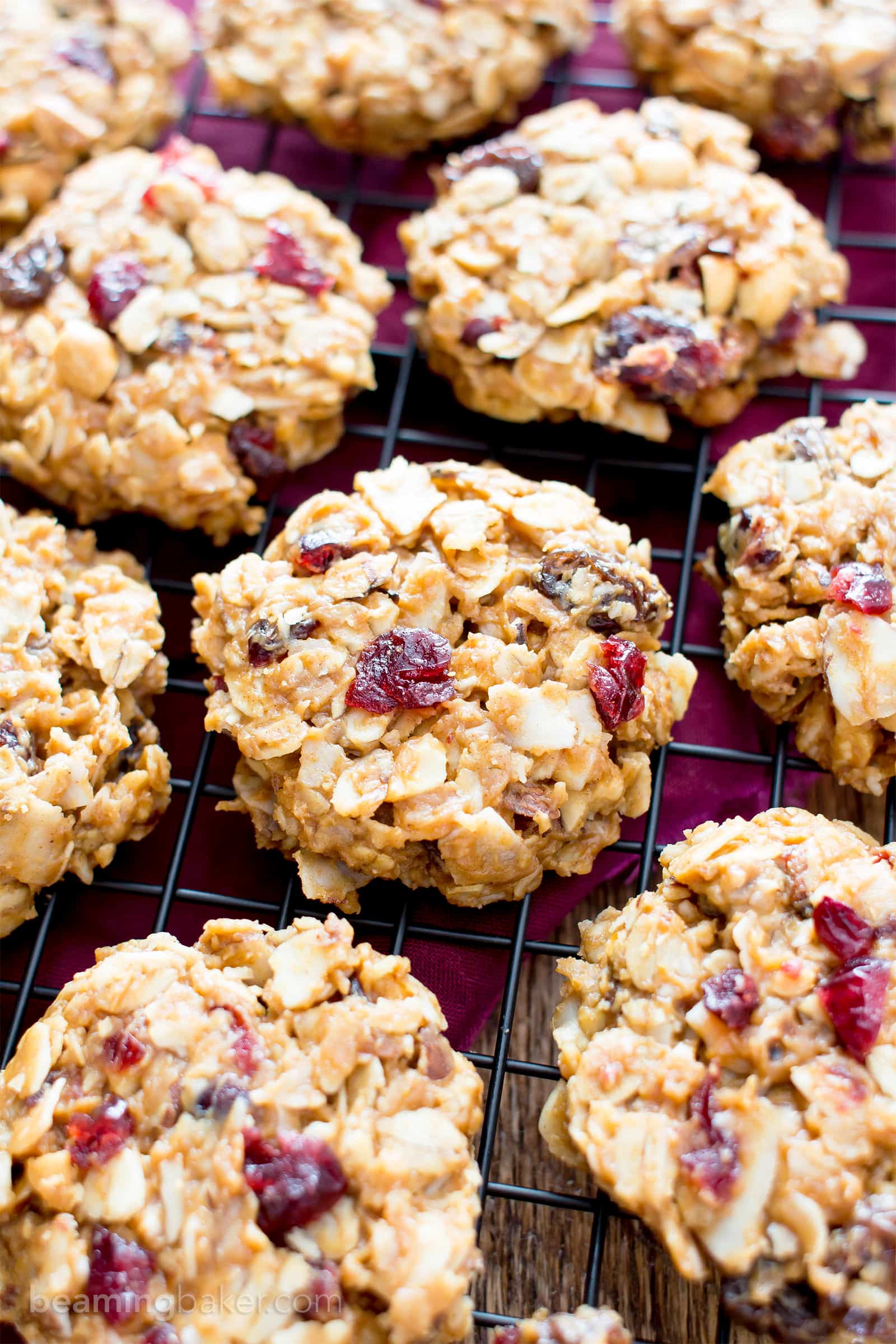 No Bake Gluten Free Peanut Butter Fruit & Nut Cookies (V, GF, DF): an easy, one bowl recipe for no bake peanut butter cookies bursting with dried fruits and nuts! #ProteinPacked #Vegan #GlutenFree #DairyFree BeamingBaker.com