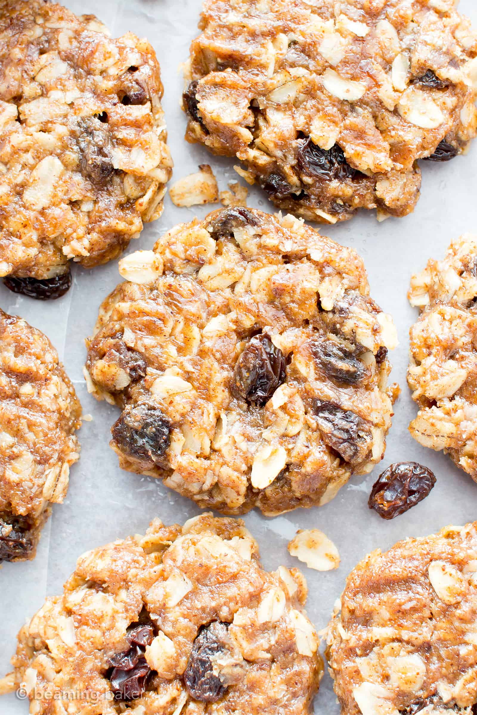 4 Ingredient No Bake Chewy Oatmeal Raisin Cookies (V, GF): an easy recipe for delightfully chewy no bake cookies bursting with raisins and cinnamon flavor! #Vegan #GlutenFree #DairyFree #Cookies #NoBake #Dessert | Recipe on BeamingBaker.com