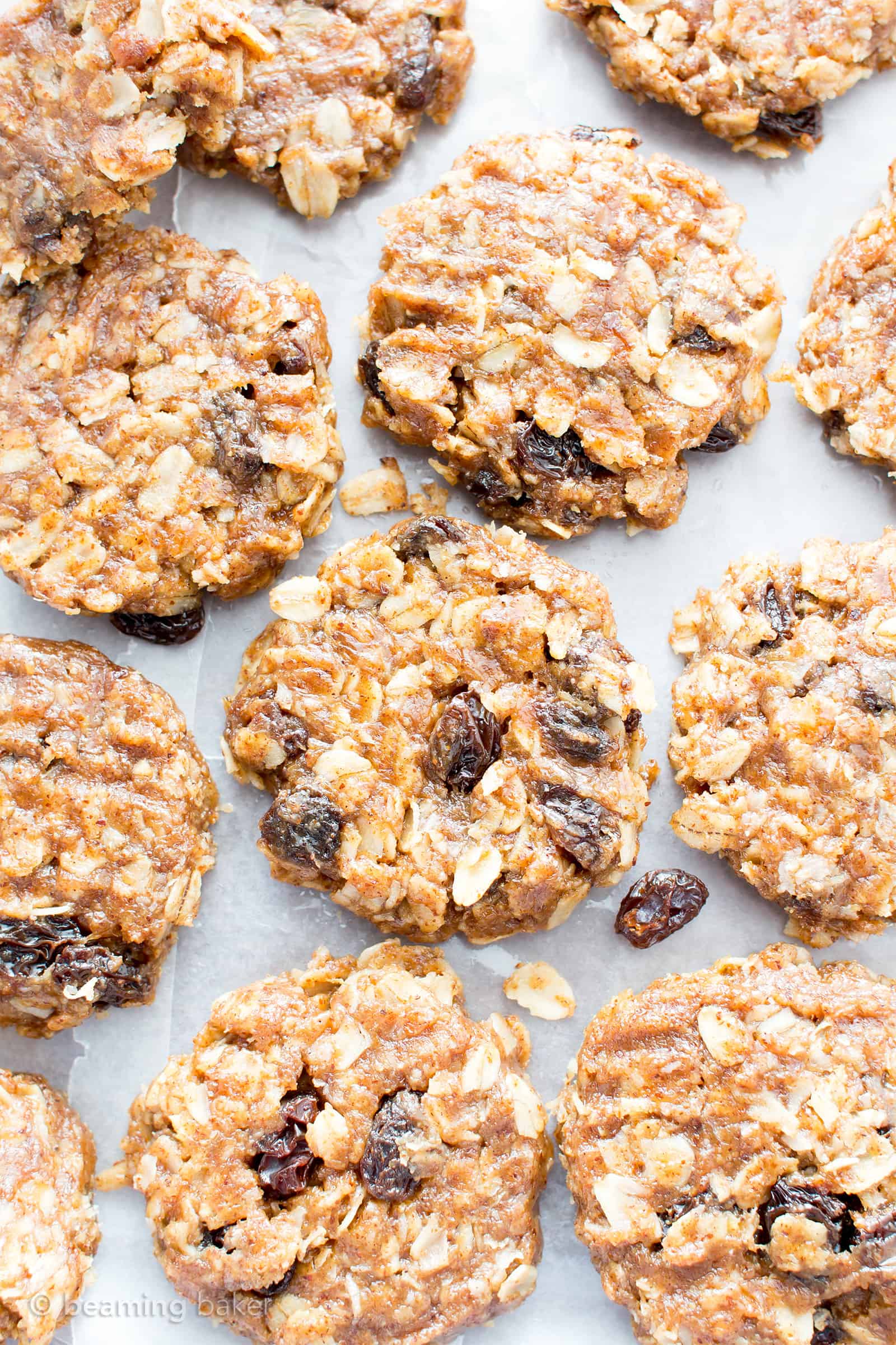 4 Ingredient No Bake Chewy Oatmeal Raisin Cookies (V, GF): an easy recipe for delightfully chewy no bake cookies bursting with raisins and cinnamon flavor! #Vegan #GlutenFree #DairyFree #Cookies #NoBake #Dessert | Recipe on BeamingBaker.com