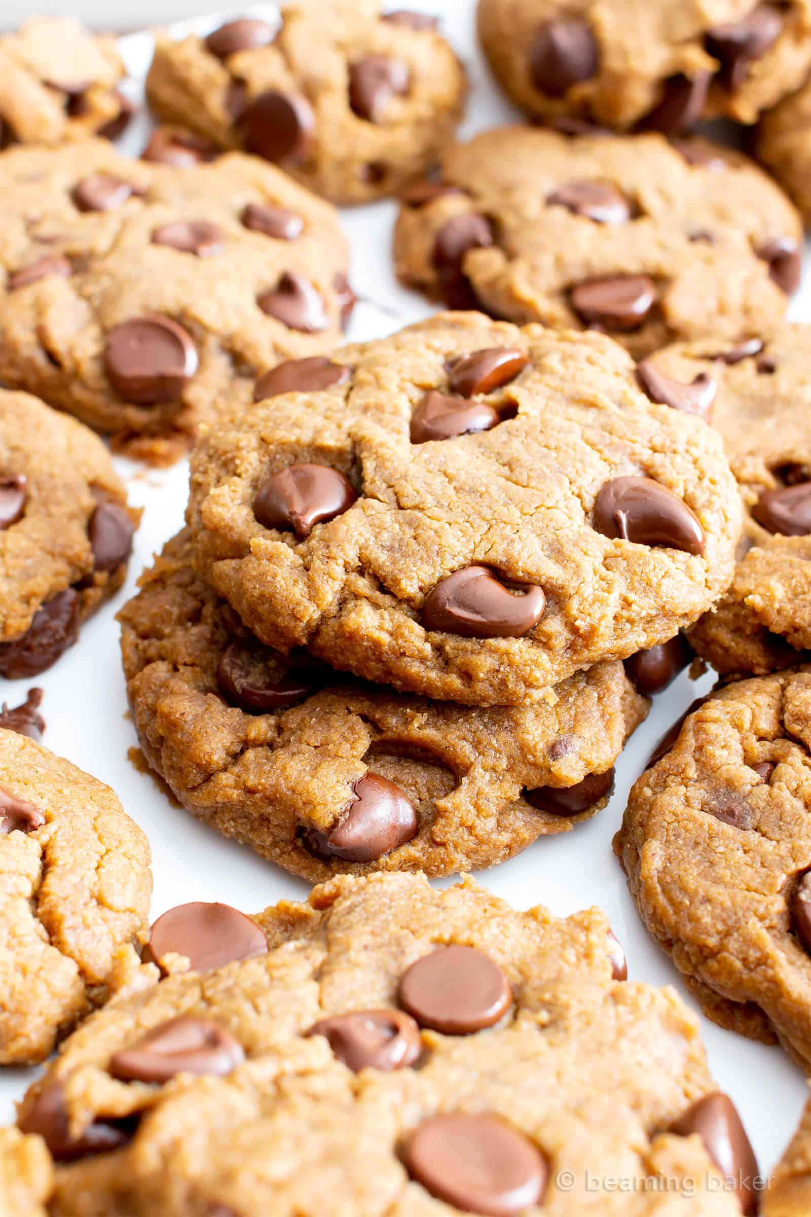 Gluten Free Peanut Butter Chocolate Chip Cookies (V, GF): an easy recipe for perfectly soft ‘n chewy chocolate chip cookies packed with peanut butter flavor! #Vegan #GlutenFree #DairyFree #PeanutButter #Cookies #Dessert #ChocolateChip | Recipe on BeamingBaker.com