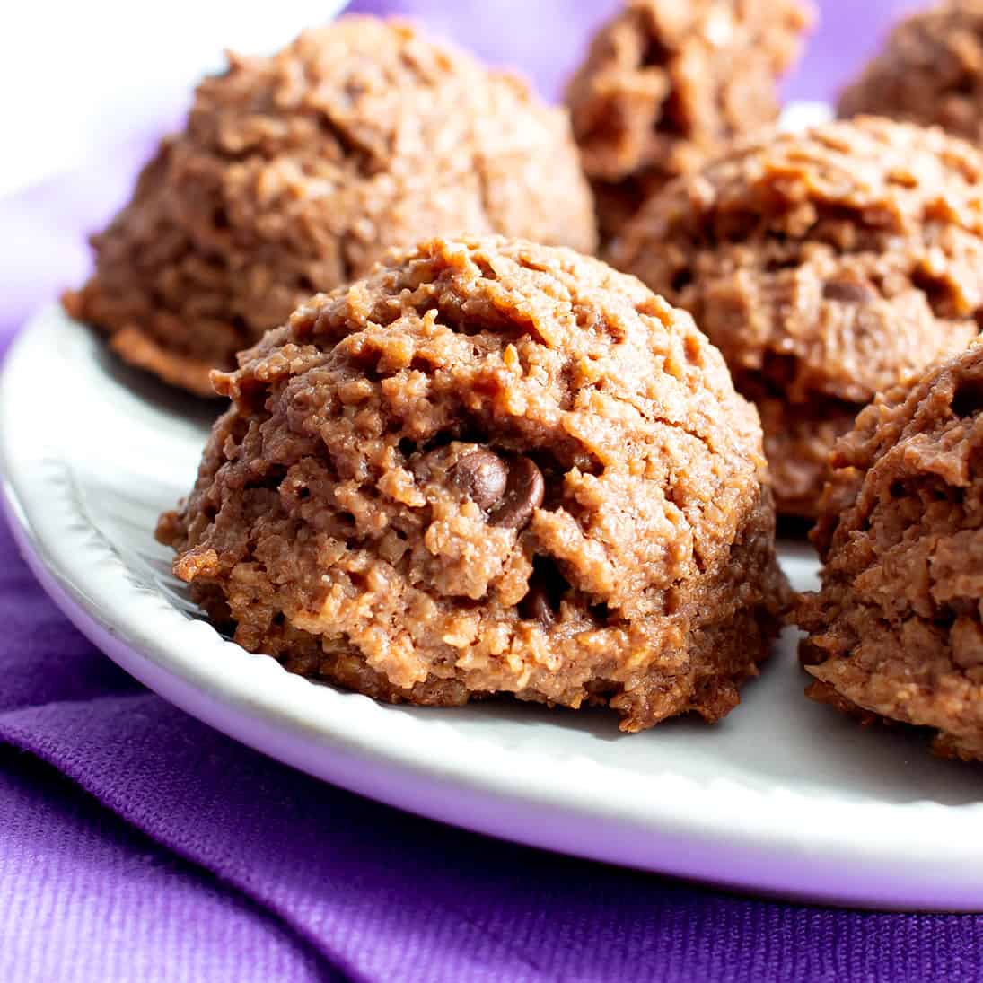 Paleo Chocolate Coconut Macaroons Recipe (Vegan, Gluten-Free, Dairy-Free, Healthy)