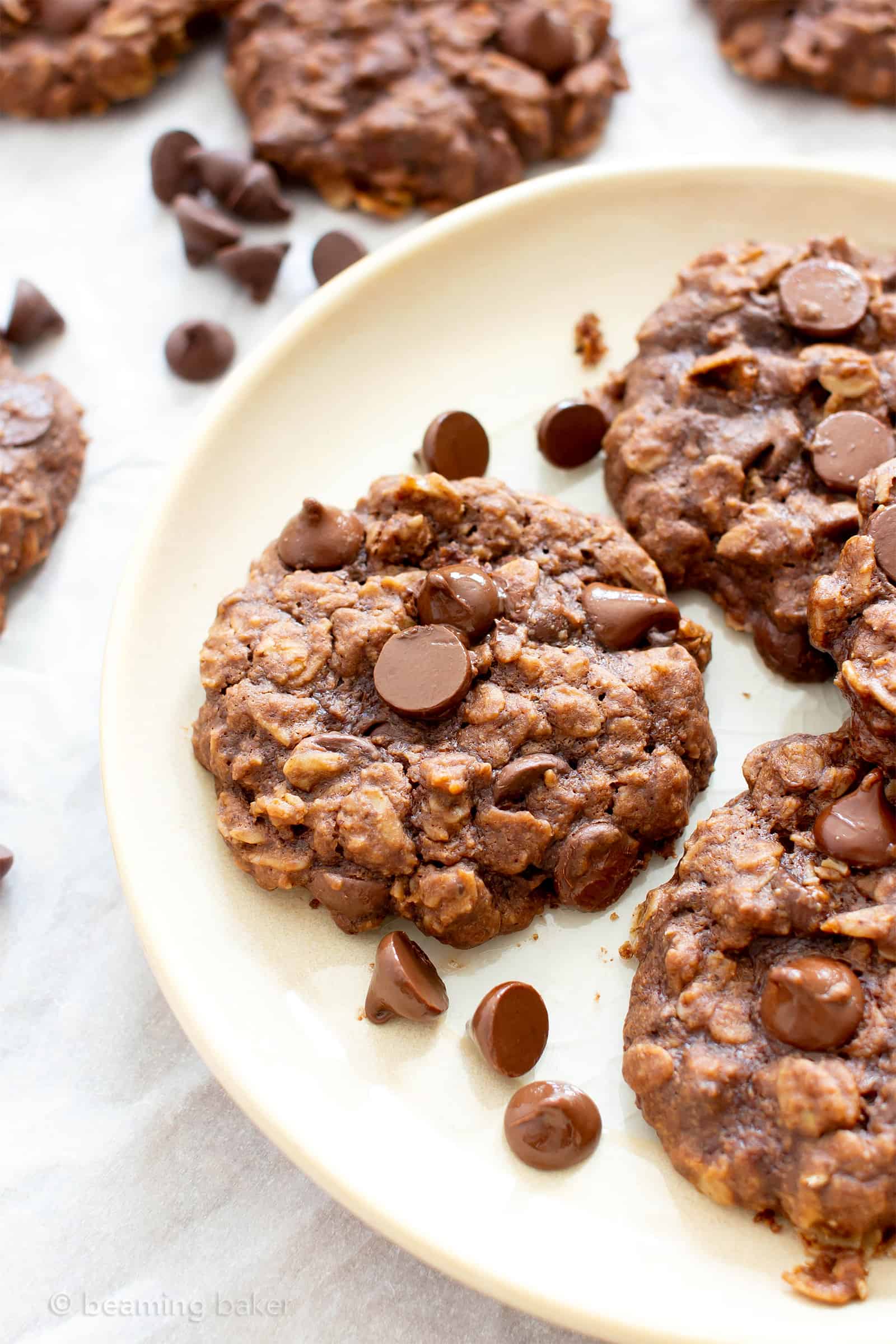 Vegan Double Chocolate Chip Chewy Oatmeal Cookies (Gluten ...