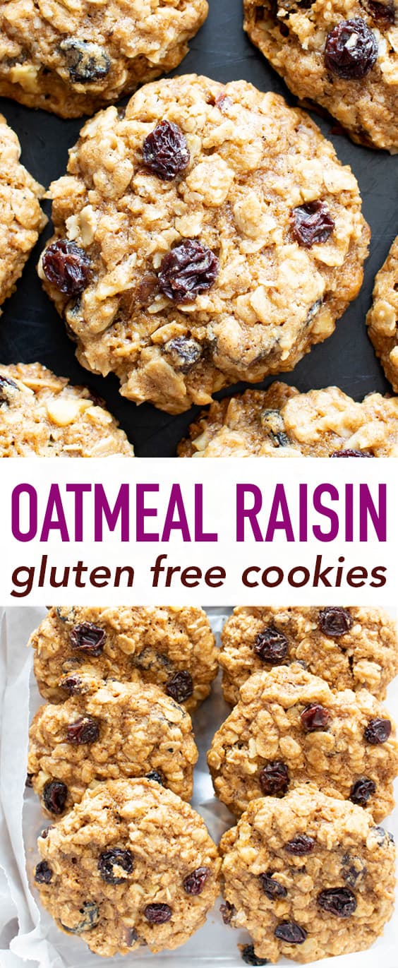 Classic Gluten Free Oatmeal Raisin Cookies Recipe (Vegan ...