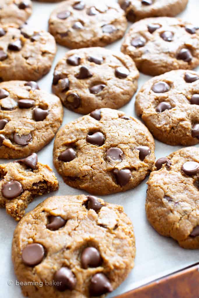 Chocolate Chip Homemade Cashew Butter Cookies Recipe (Vegan, Paleo ...