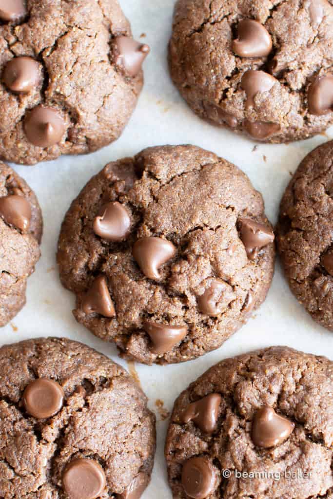 The BEST Paleo Vegan Double Chocolate Chip Cookies (Gluten Free ...