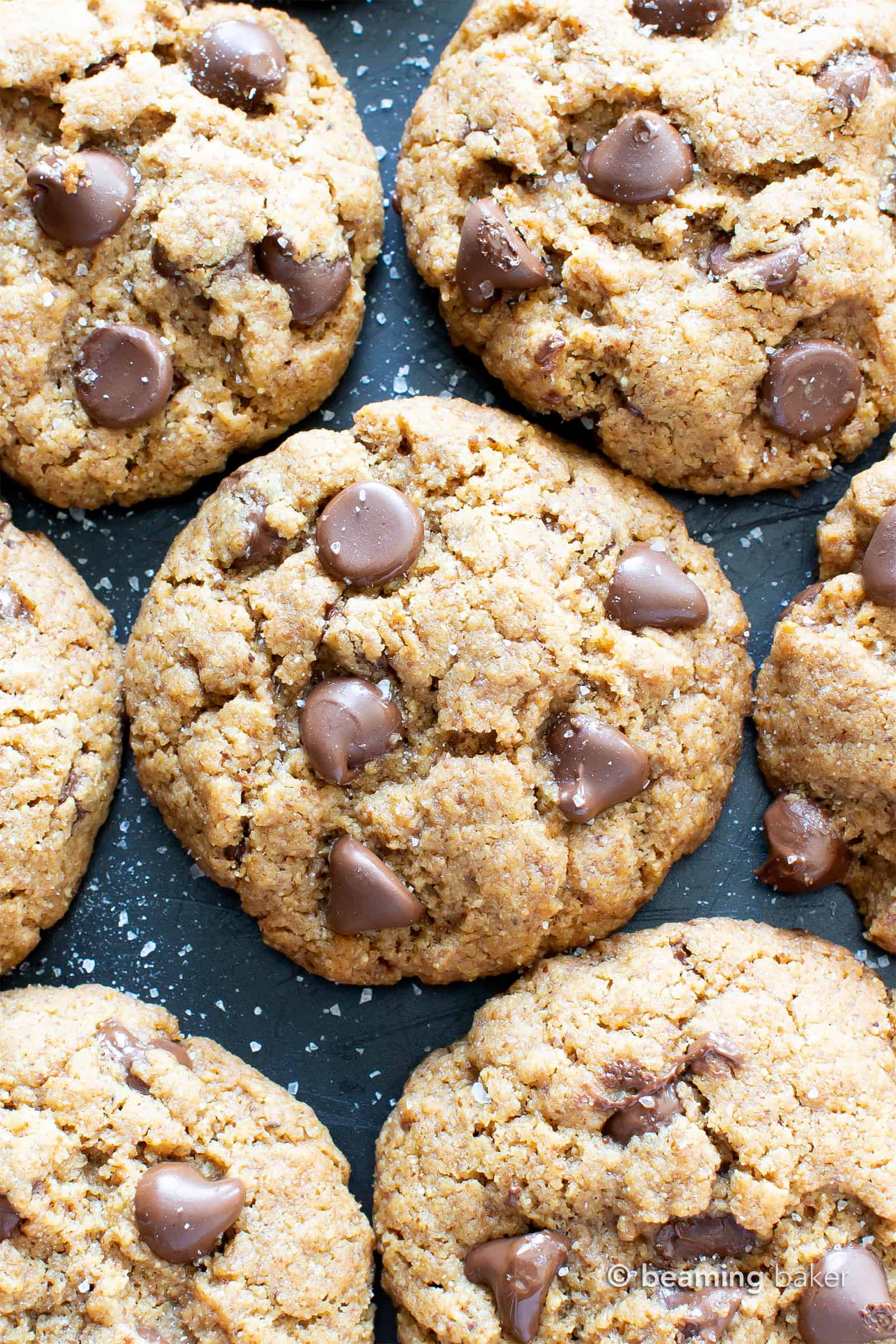 Salted Tahini Paleo Chocolate Chip Cookies (Coconut Flour): this gluten free chocolate chip cookies recipe is chewy, salty ‘n sweet! The best coconut flour chocolate chip cookies made with tahini butter! #Paleo #GlutenFree #Vegan #Cookies #GrainFree #Chocolate | Recipe at BeamingBaker.com