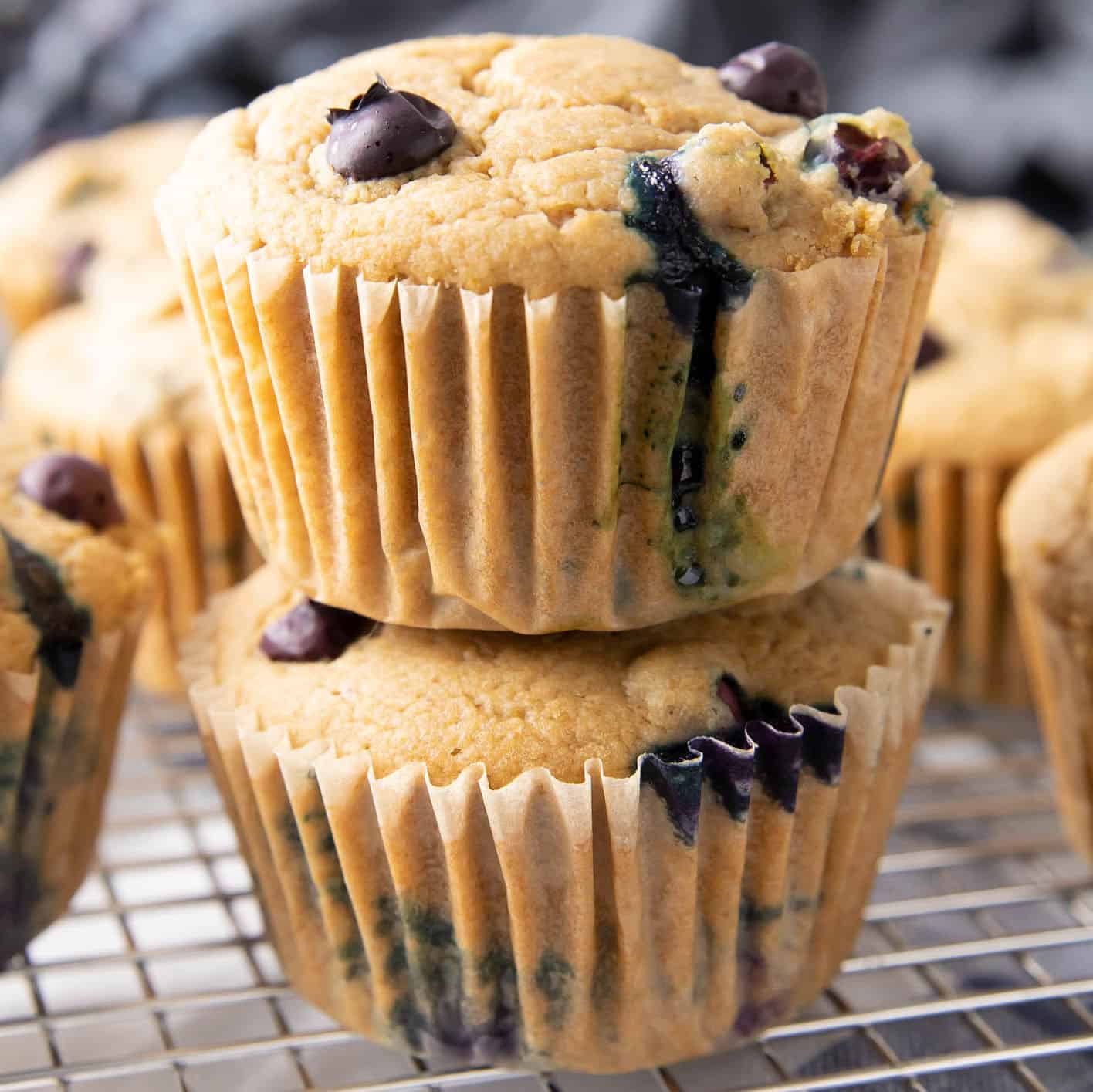 Easy Vegan Blueberry Muffins Recipe (Gluten Free)