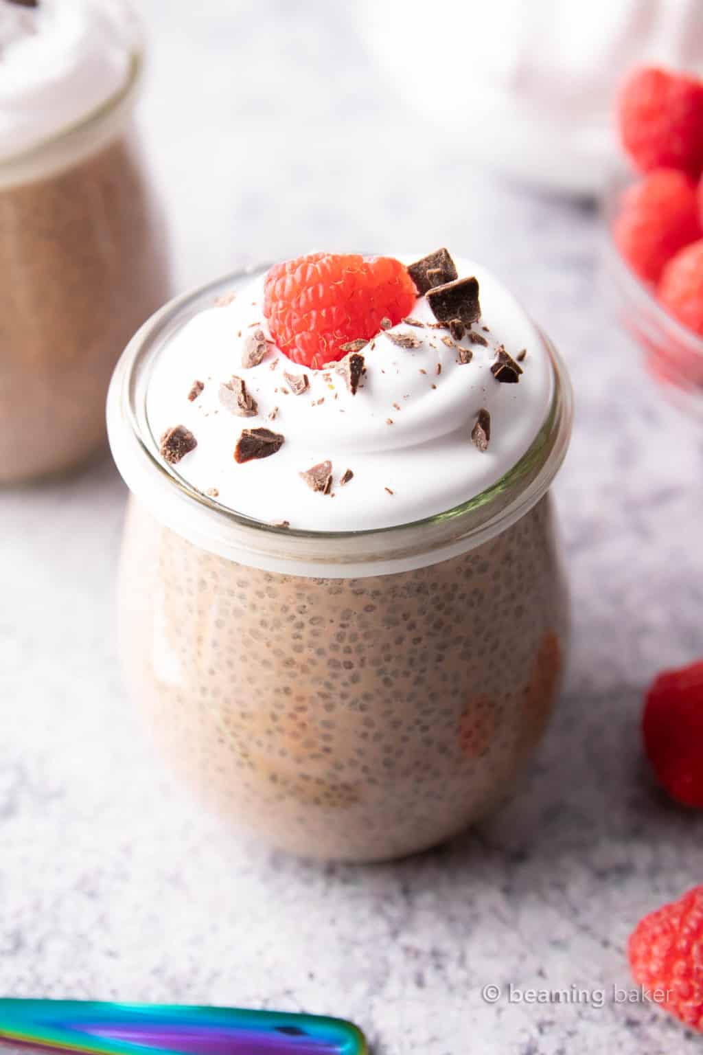 Low Carb Chocolate Chia Pudding (Keto) Beaming Baker