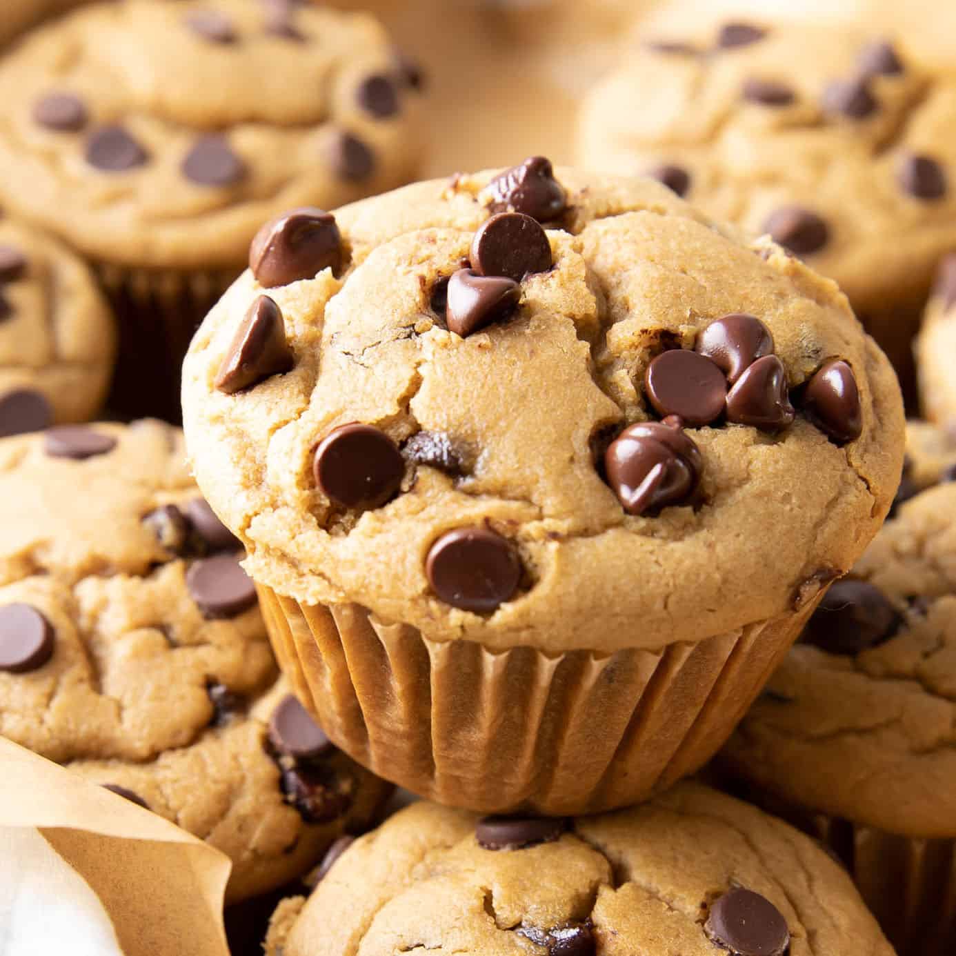 The BEST Chocolate Chip Muffins