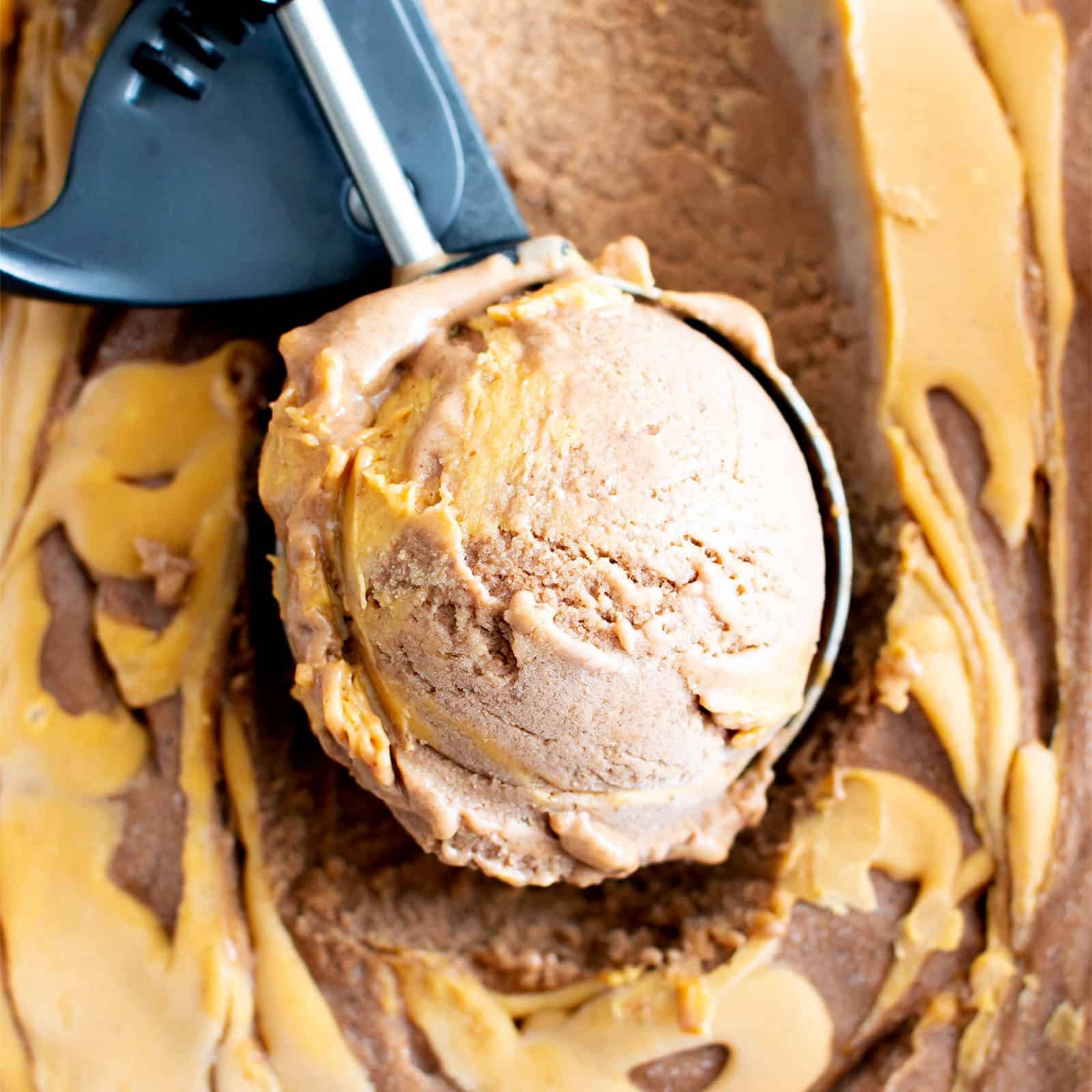 Chocolate Peanut Butter Banana Ice Cream – 4 ingredients!