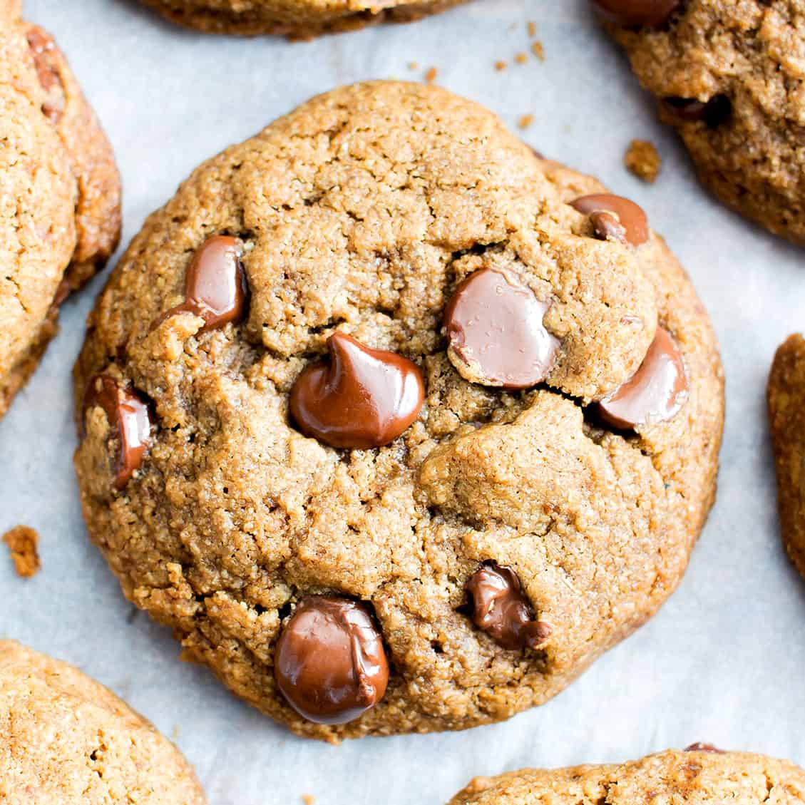 fresh-baked classic vegan gluten free chocolate chip cookies on parchment paper