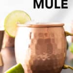 Irish Mule Recipe short pin image