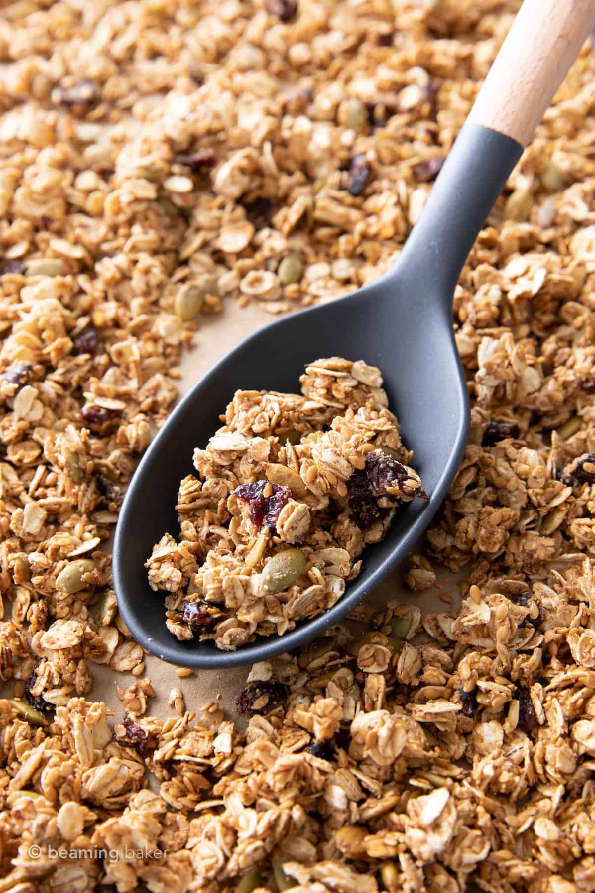 A big spoonful of granola with flax seed
