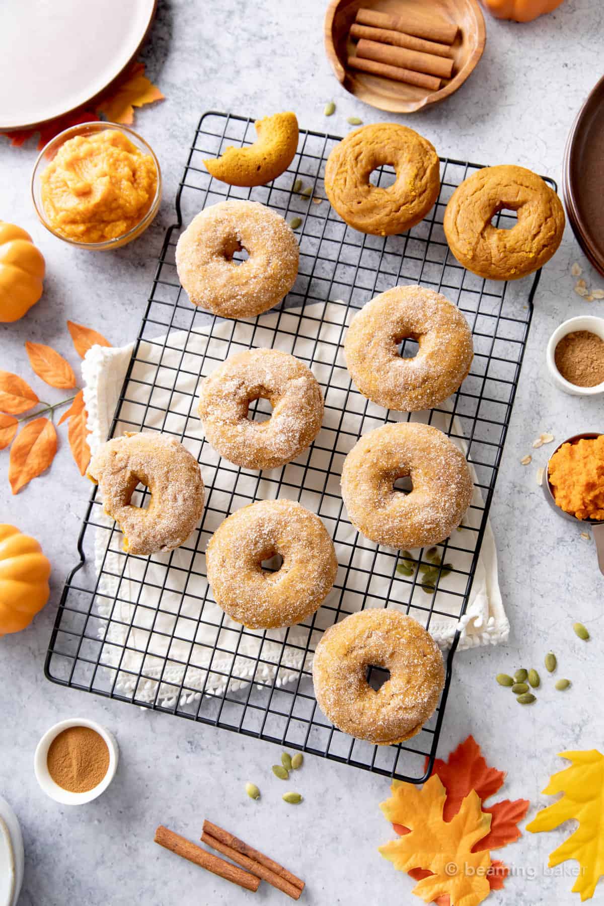 pumpkin donuts cooling on a baking rack with pumpkins