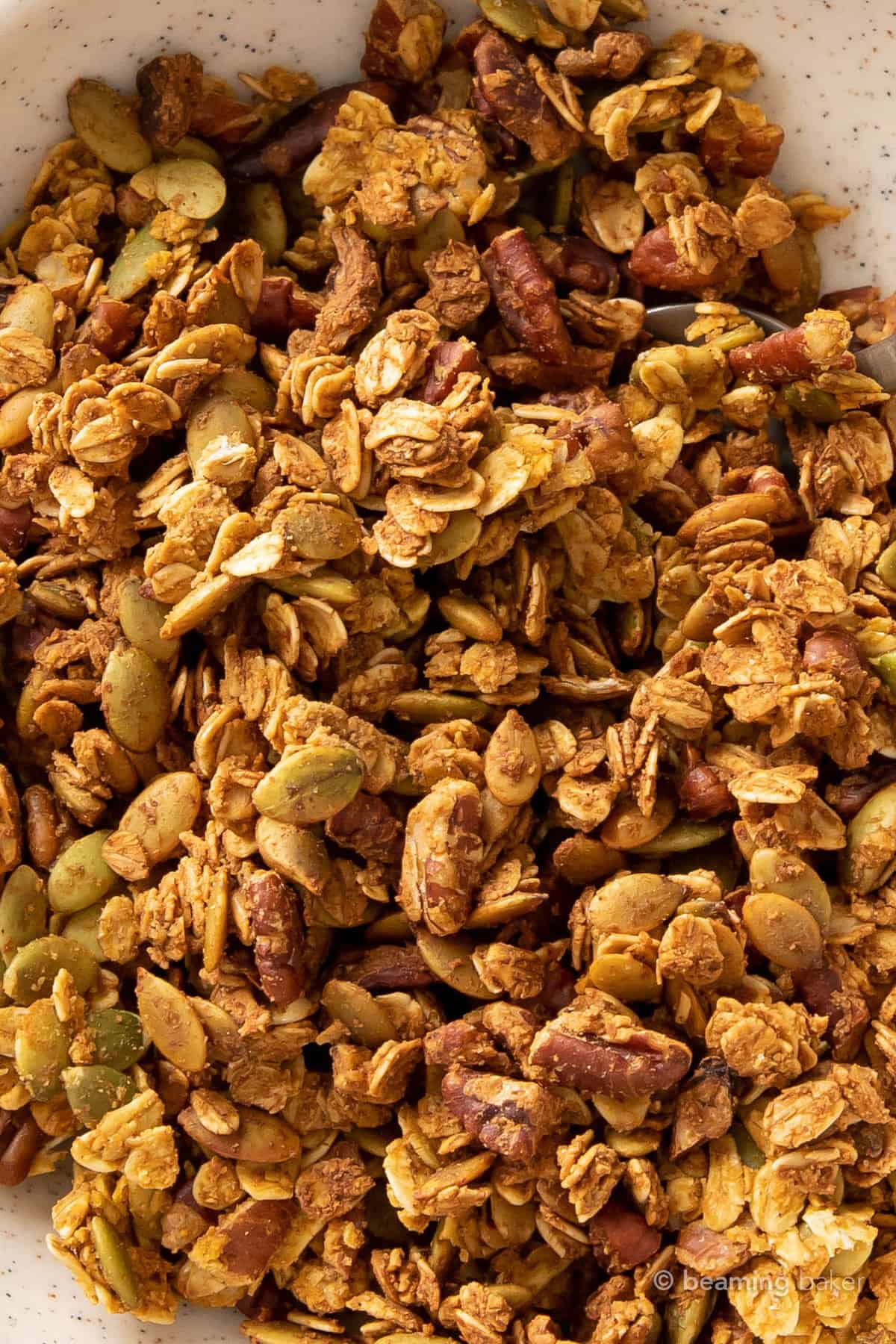 closeup shot of pumpkin granola texture