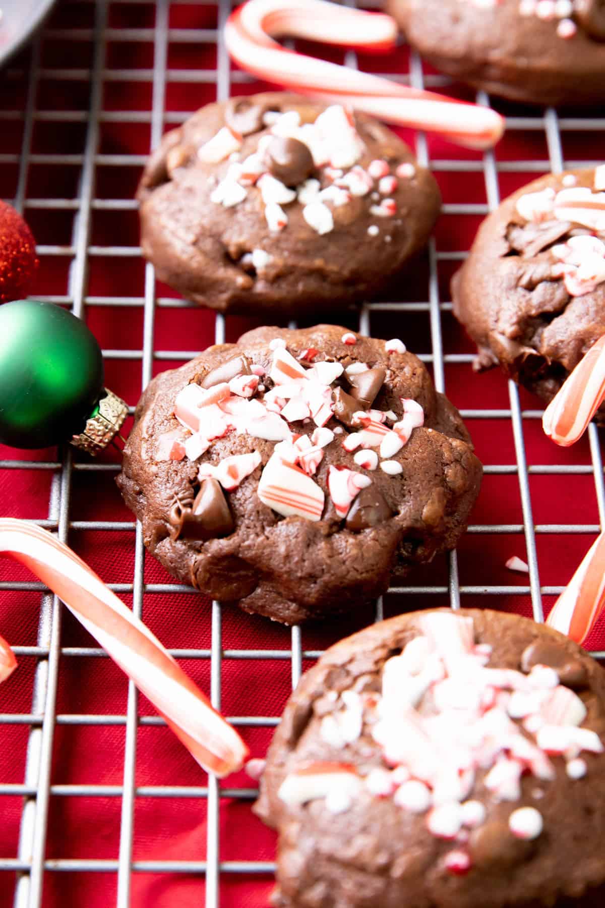 Angled photo of chocolate peppermint cookies on a cooling rack with a red backdrop