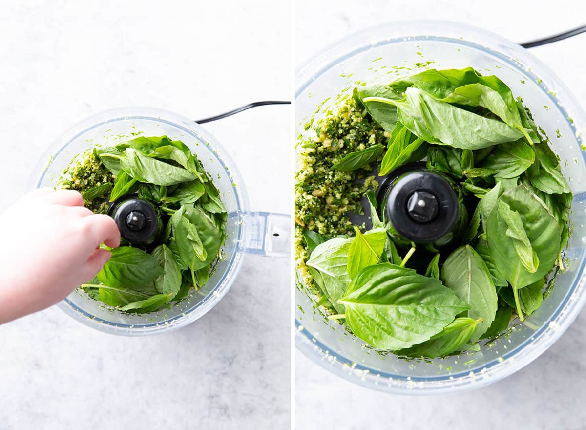 Two photos showing How to Make Vegan Pesto – adding fresh basil