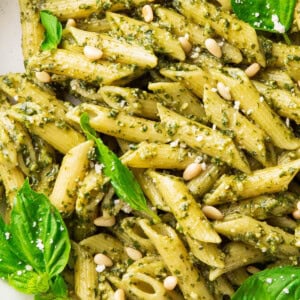 Pesto parmesan pasta includes pesto made with pine nuts topped with parmesan on penne pasta in a pasta bowl