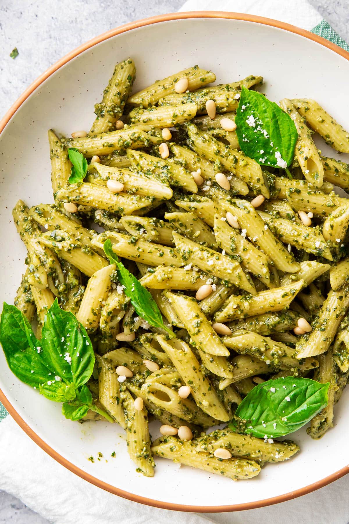 Penne pasta with basil pesto garnished with parmesan, pine nuts, and fresh basil leaves.