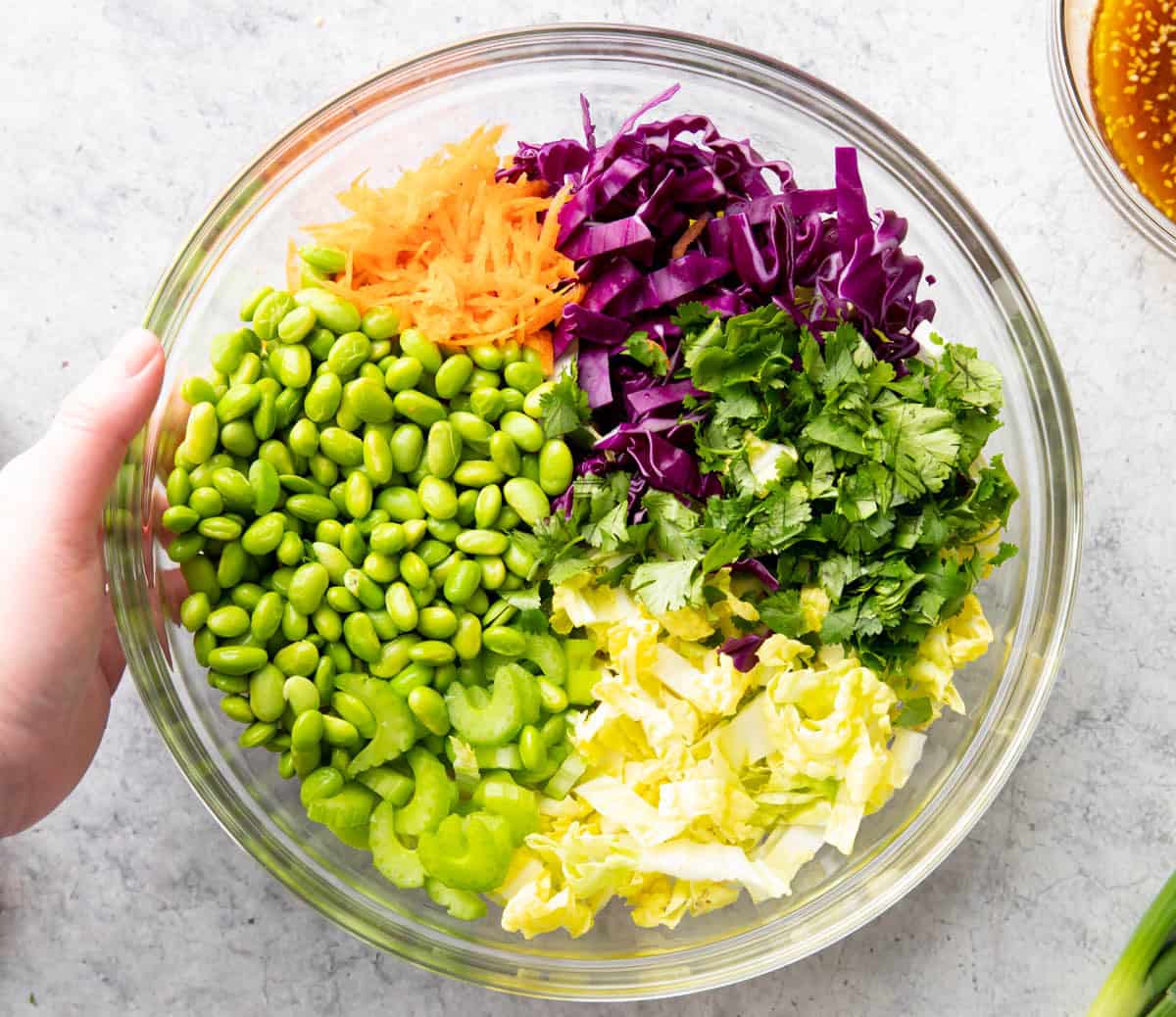 Asian chopped salad ingredients arranged in bowl to showcase each ingredient