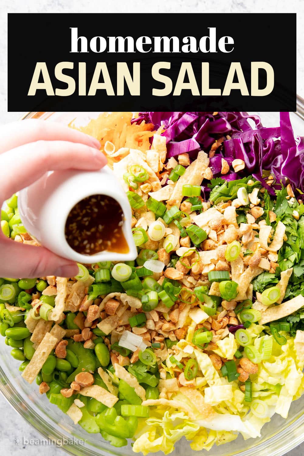 ASIAN SALAD RECIPES visual data 6