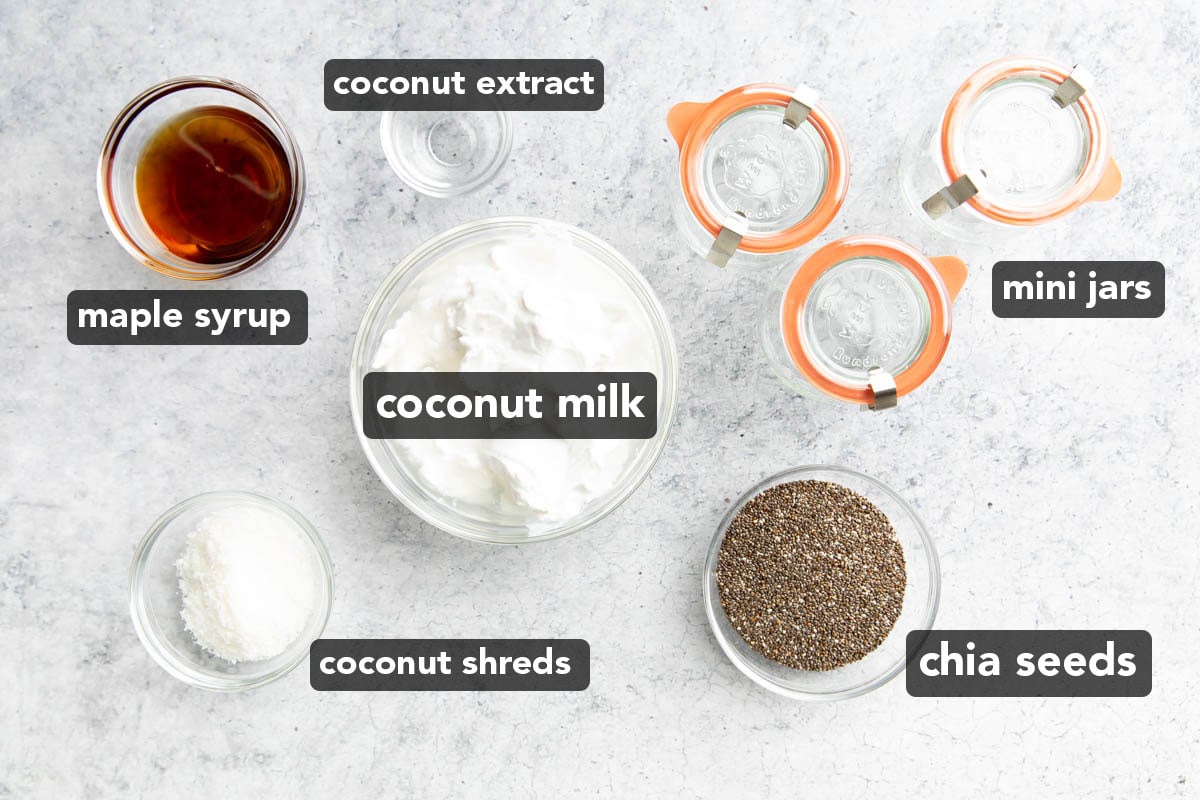 Coconut Chia Pudding ingredients measured out in bowls including chia seeds and coconut shreds