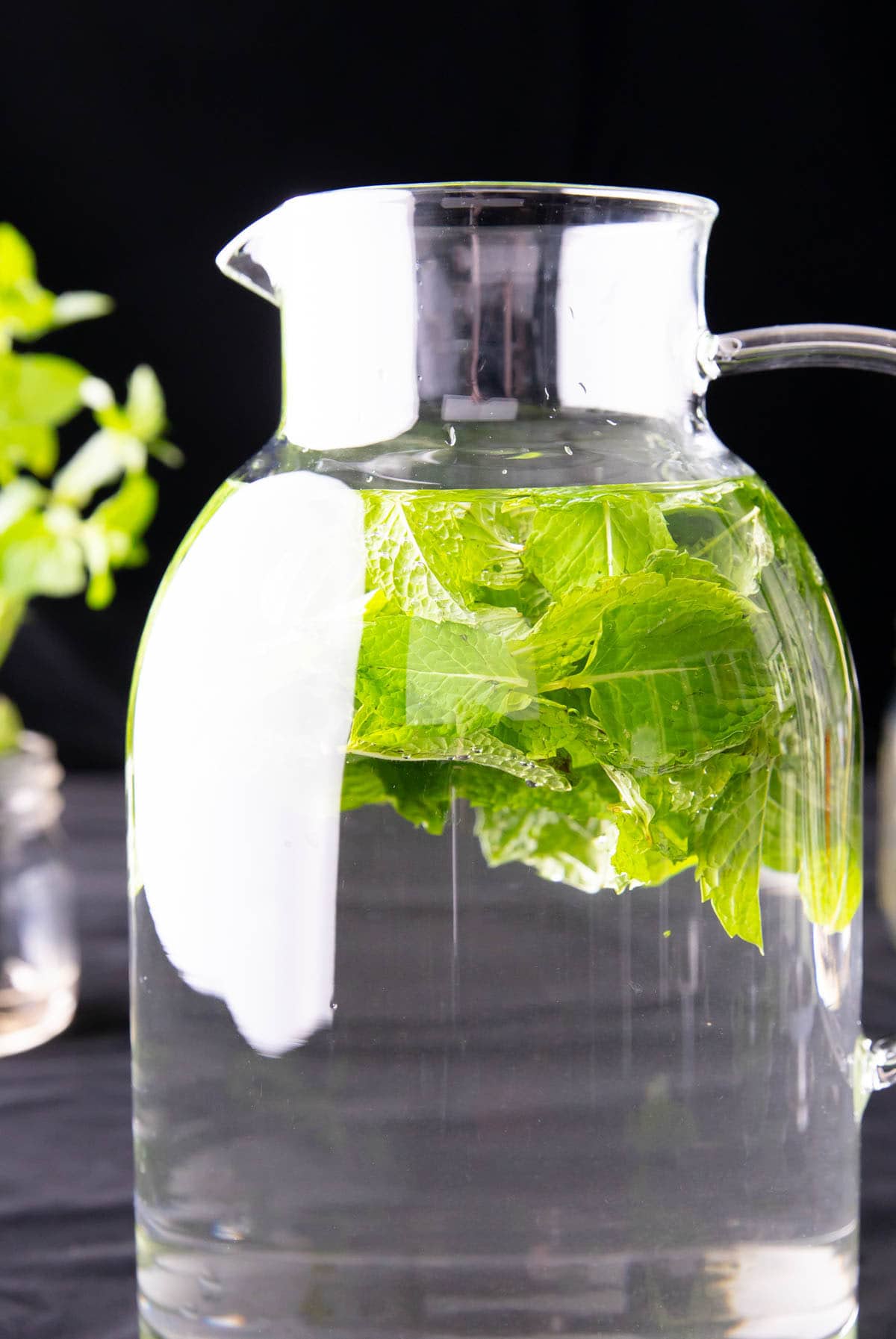 pitcher of mint water with mint tree in background