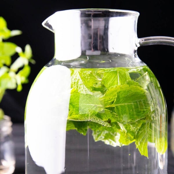 close up of mint water pitcher against a black background