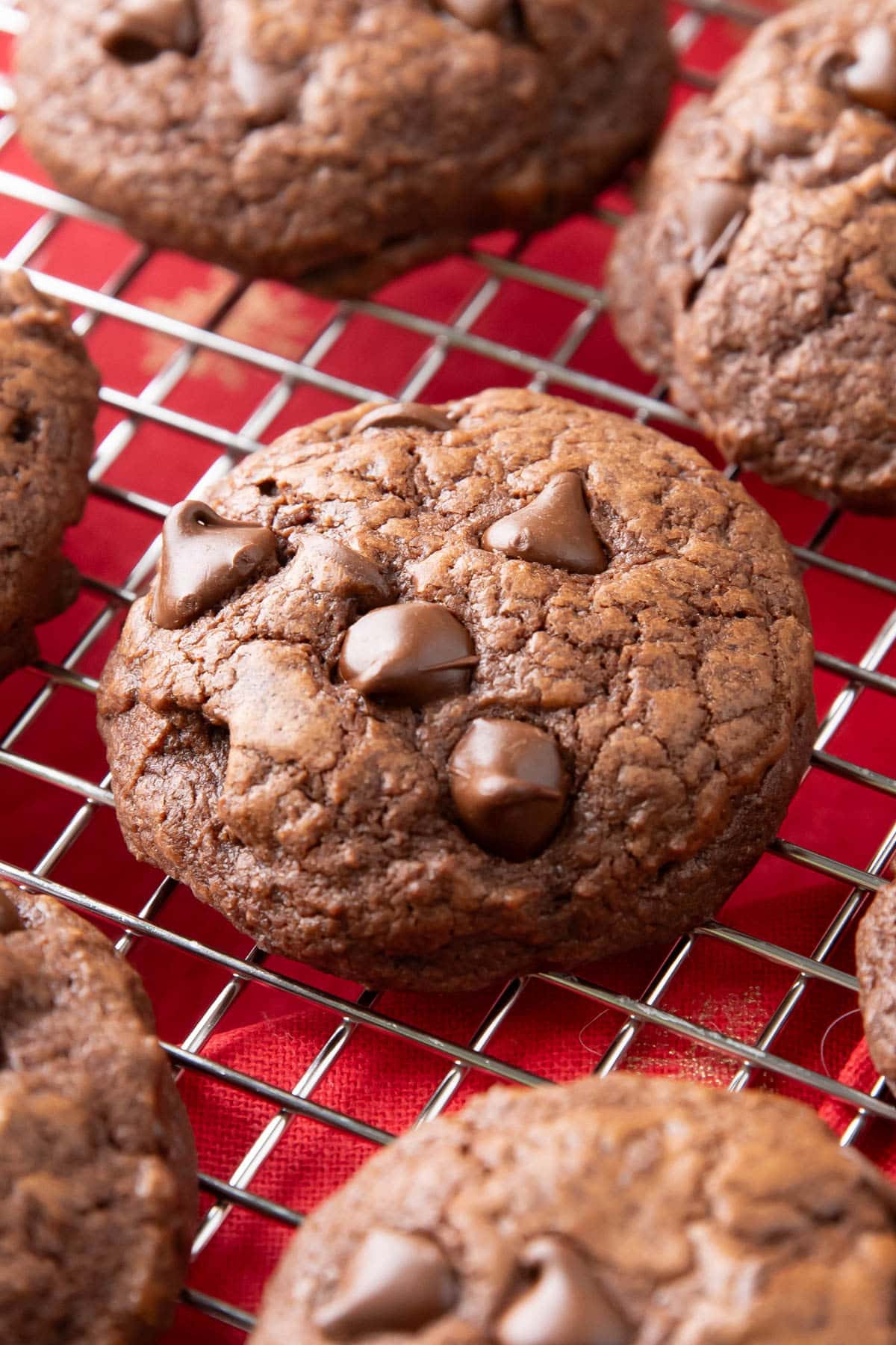 Super close up of cookies to showcase crispy edges and shiny tops, fudgy centers, and lots of chocolate chips on top