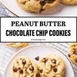 Peanut Butter Chocolate Chip Cookies medium Pinterest image.