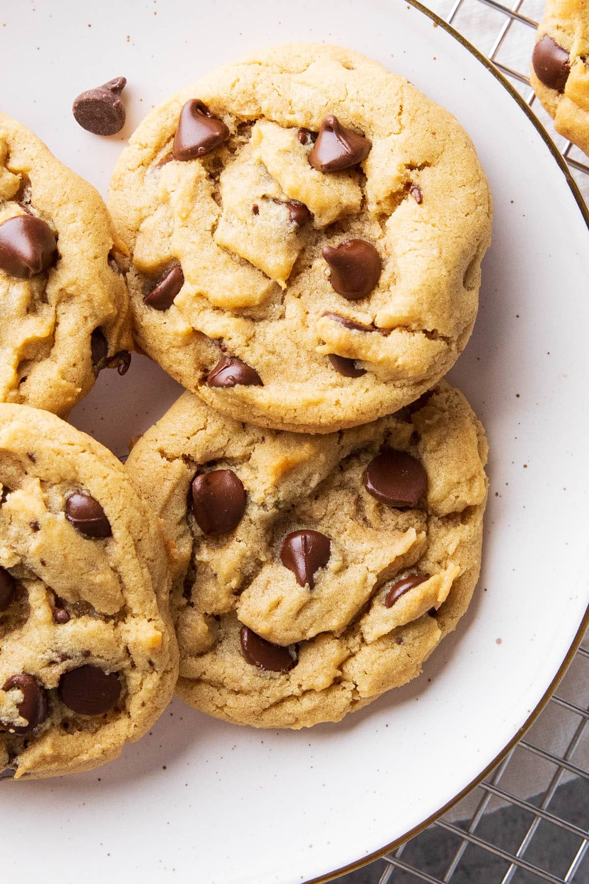 Close up of Peanut Butter Chocolate Chip Cookies on a plate to showcase chewy and moist texture and melted chocolate chips