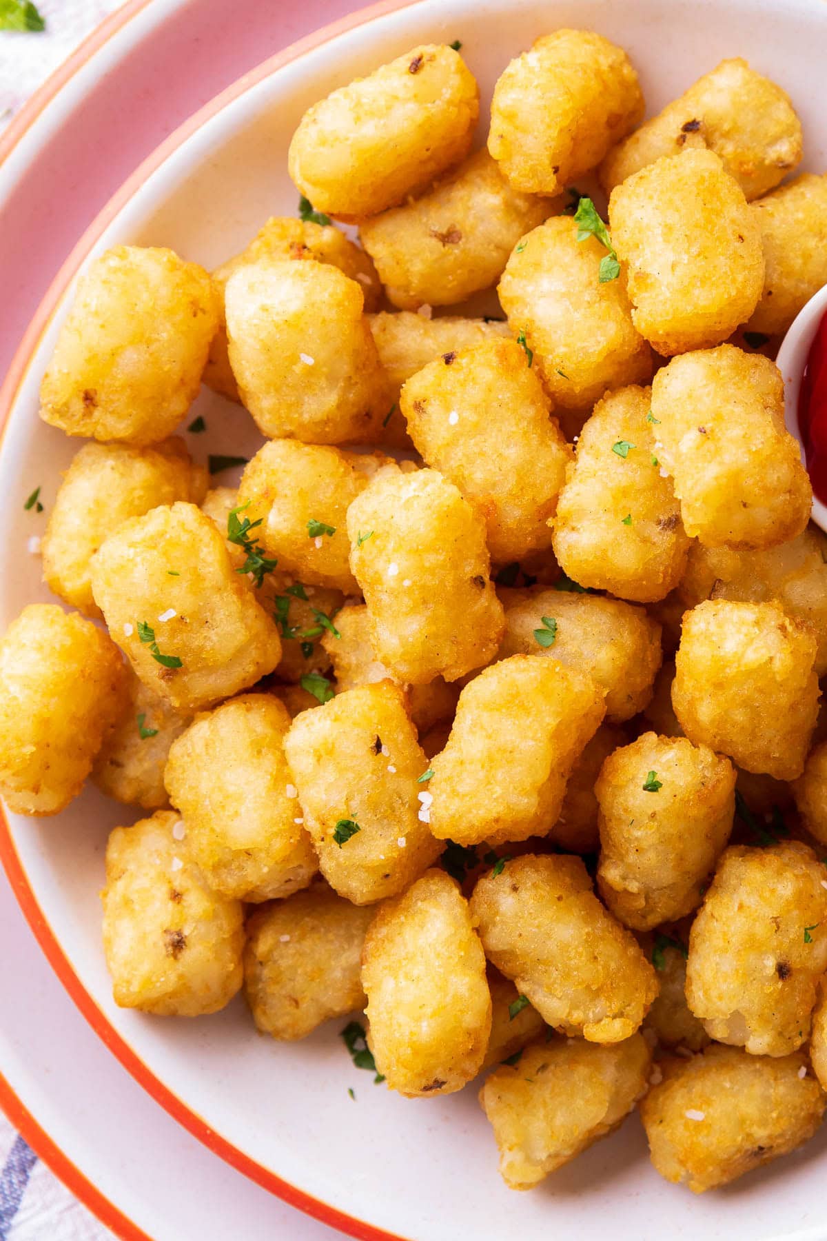 Air Fryer Tater Tots served with salt as a garnish