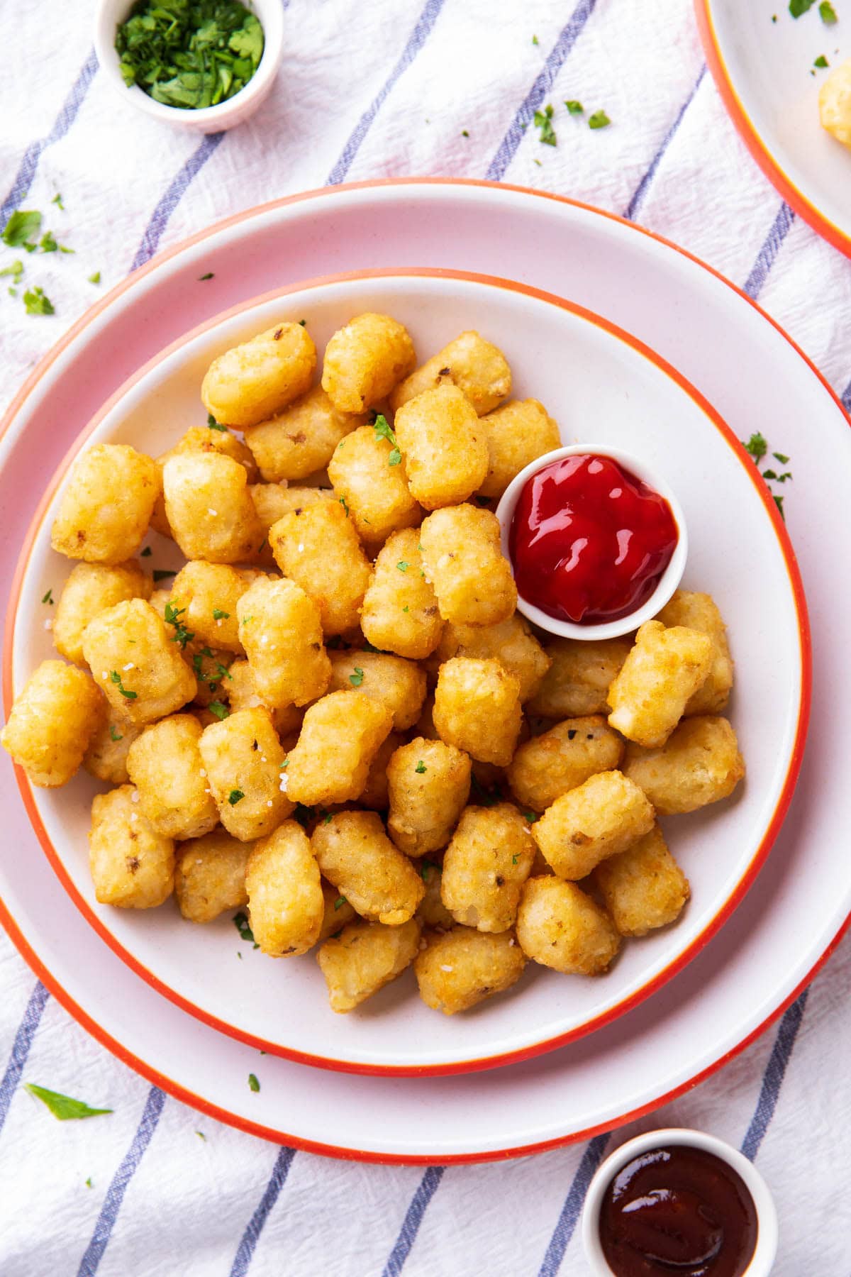 air fryer tater tots on a plate with ketchup