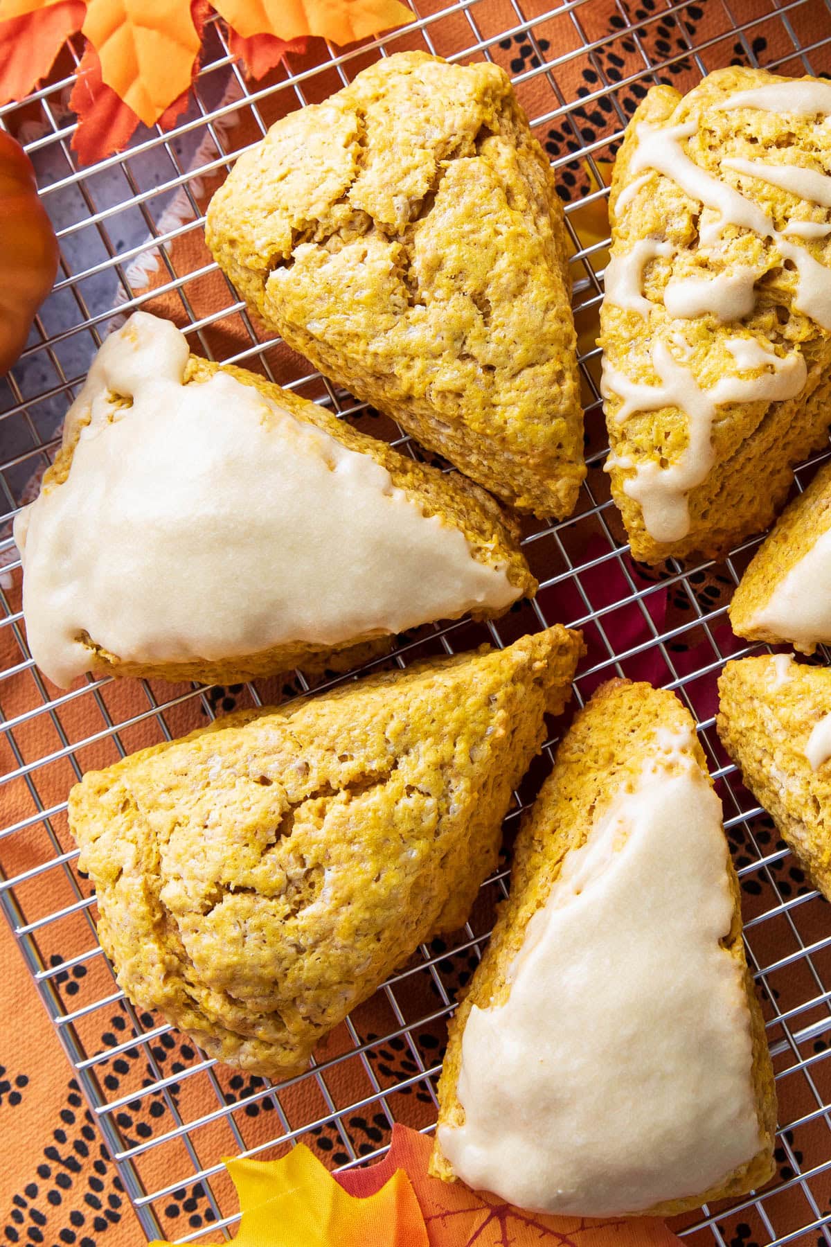 Close up of the flaky, cracked tops of fresh-baked pumpkin scones with maple glaze