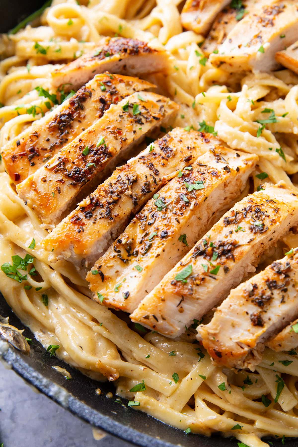 Chicken breasts on a bed of fettuccine Alfredo